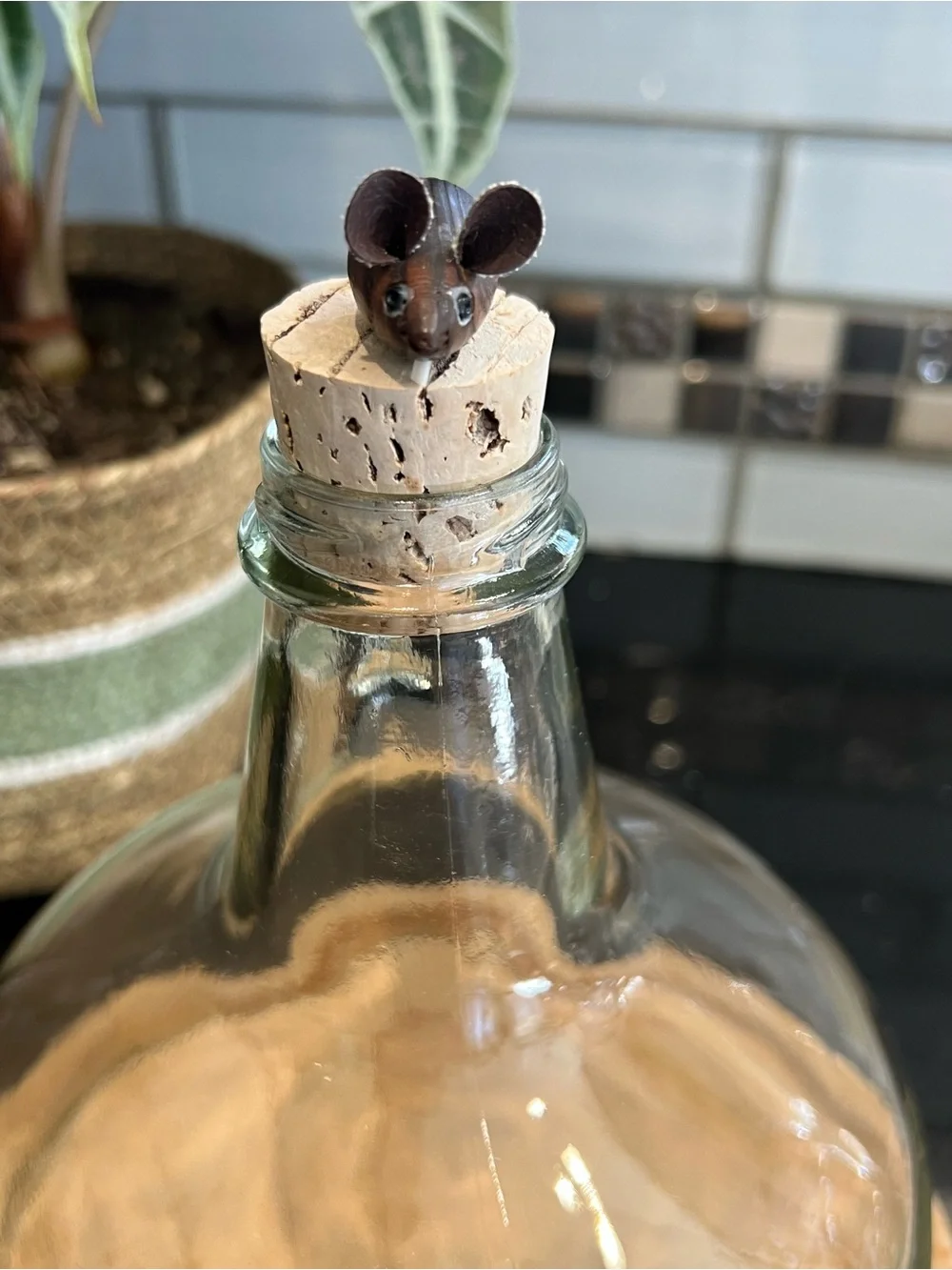 Vintage Glass done witht Wooden Base and Cork Stopper - Clear